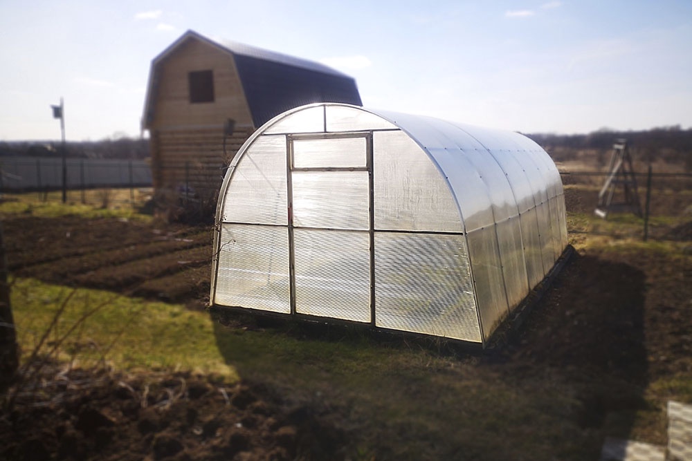 Теплица на участке.