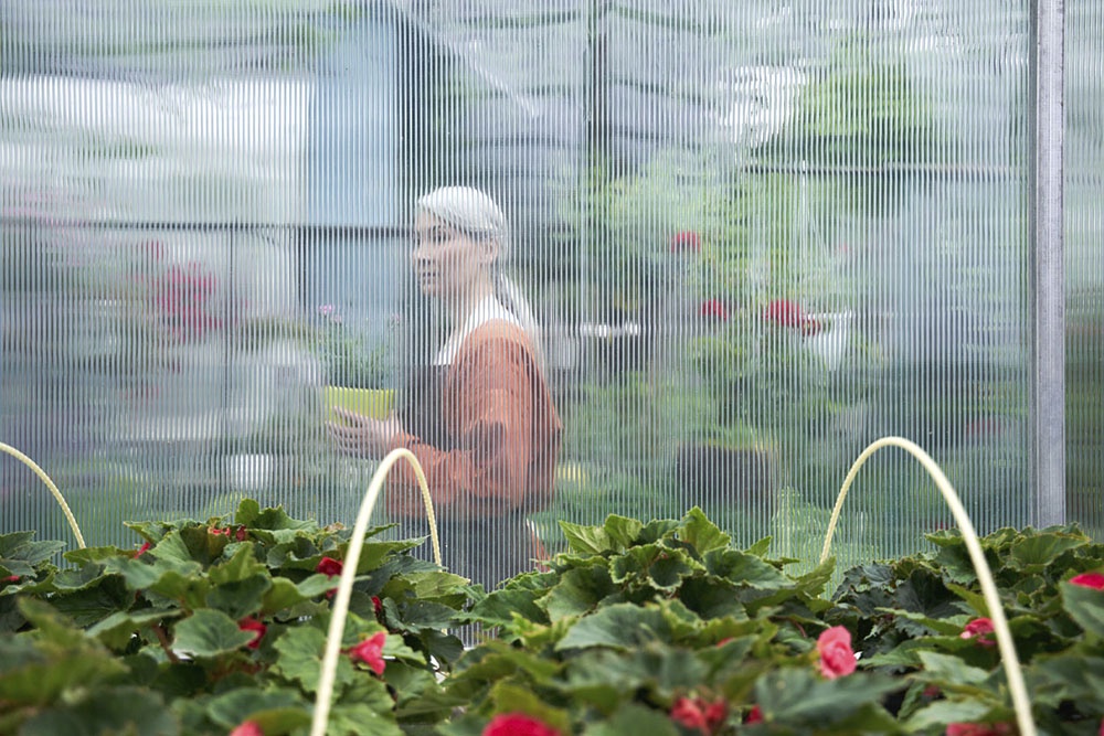 Женщина в теплице, занимается обустройством.