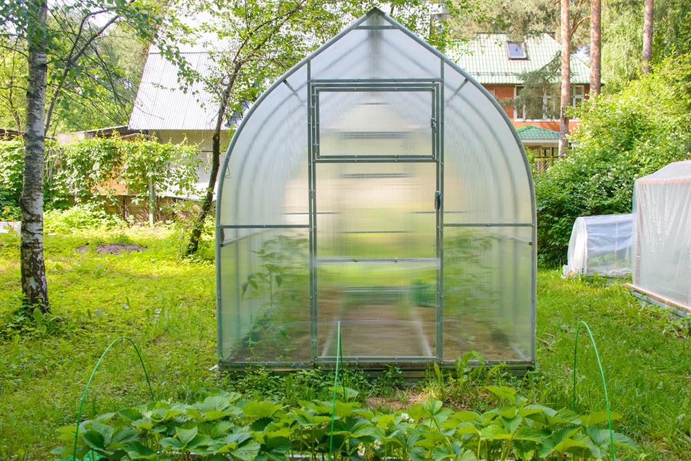 Каплевидная (стрельчатая) теплица.