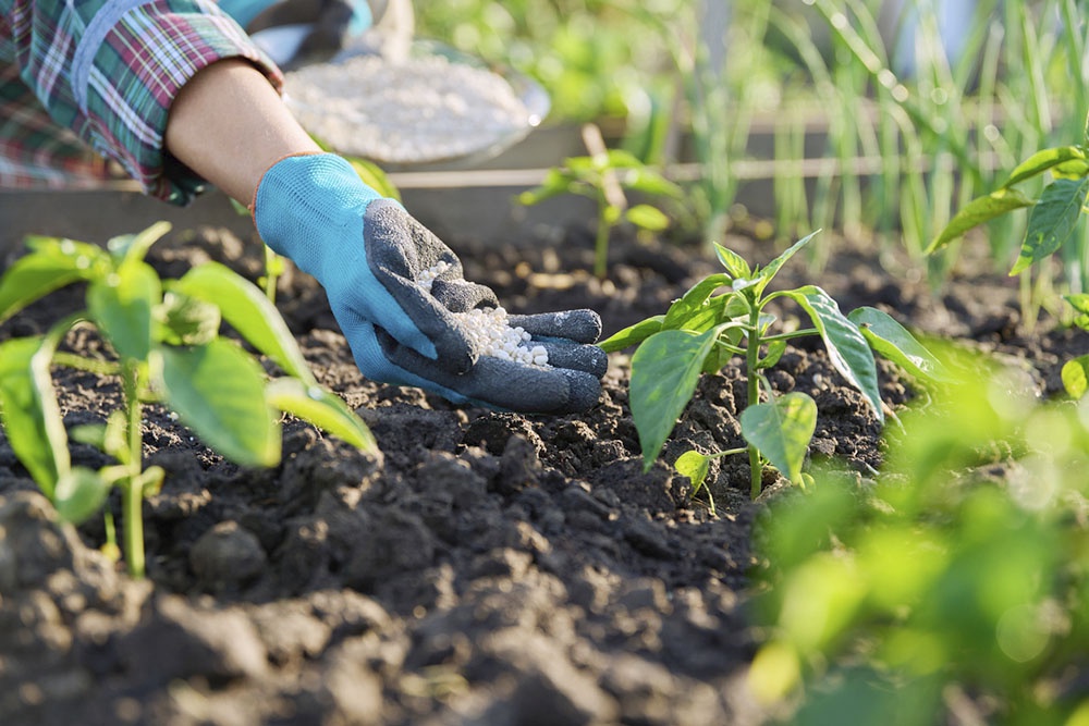 Азотное удобрение, весенняя подкормка растений.