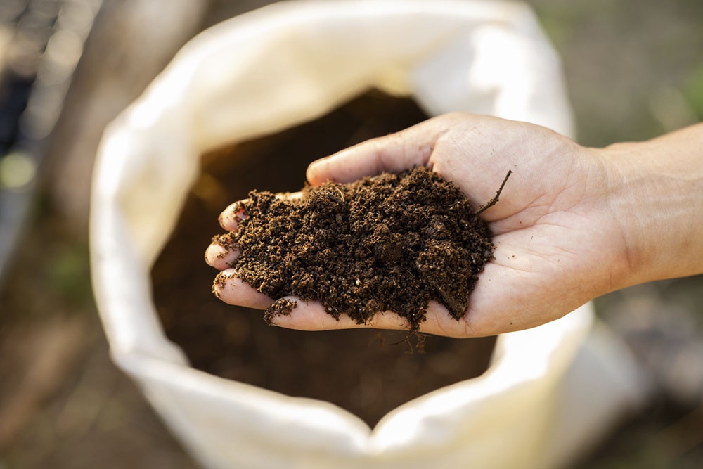 Биоудобрение, сидераты.