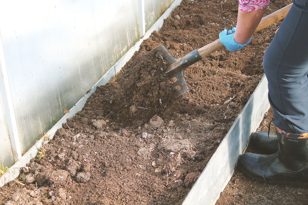 Человек готовит почву в теплице ранней вечной.