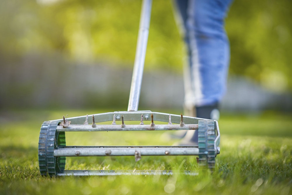 Обработка почвы ручным аэратором.