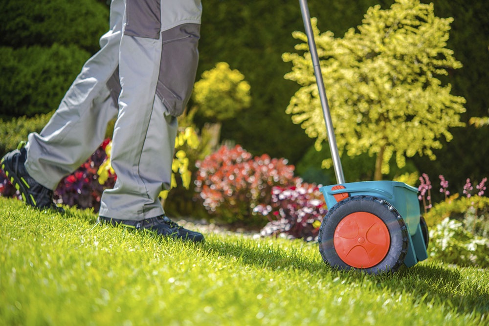 Уход за ровным, красивым газоном.