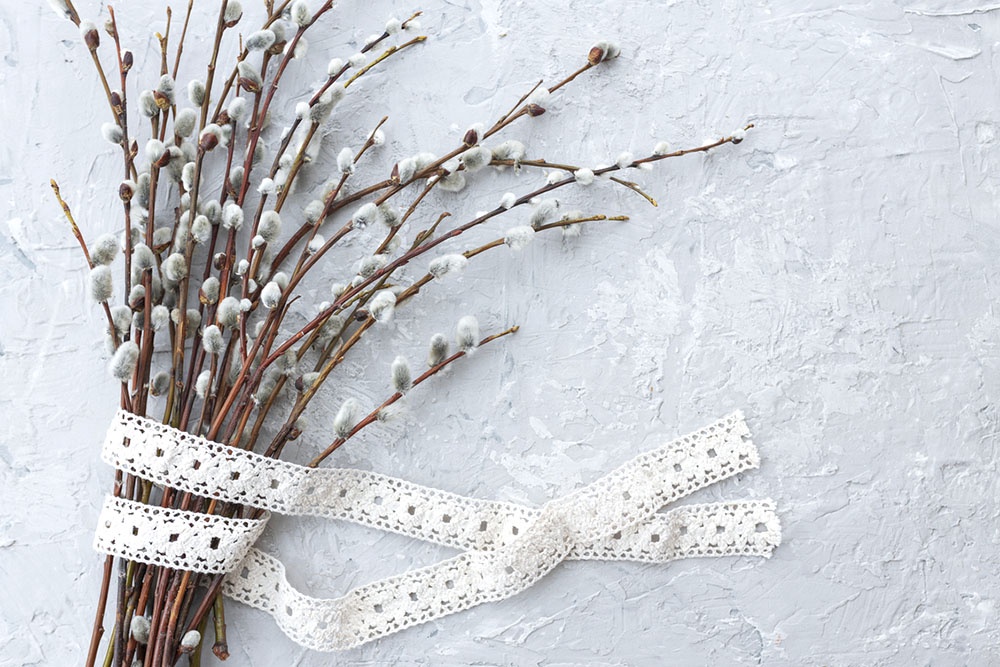 Веточки вербы на фактурном фоне.