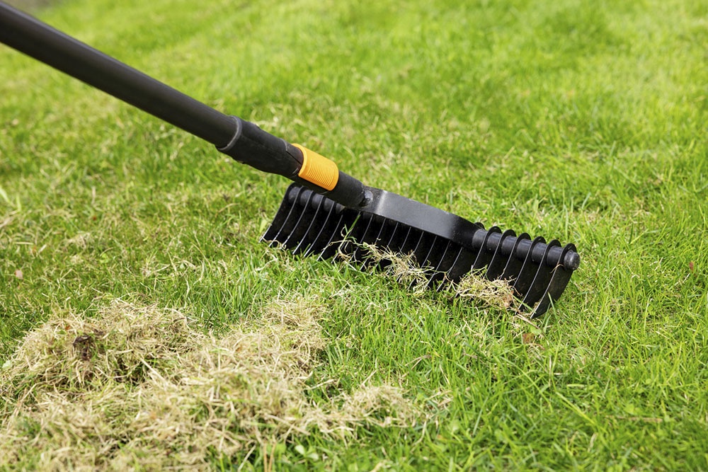 Cкарфикация почвы.