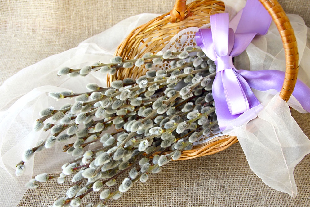 Корзина с веточками вербы.