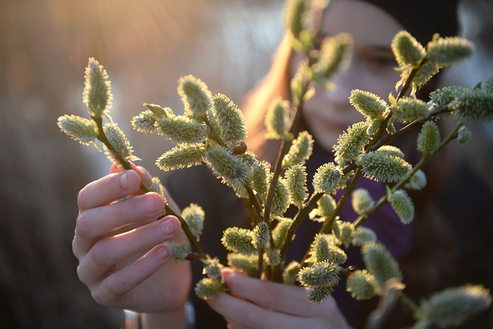 Девушка с веточками вербы.