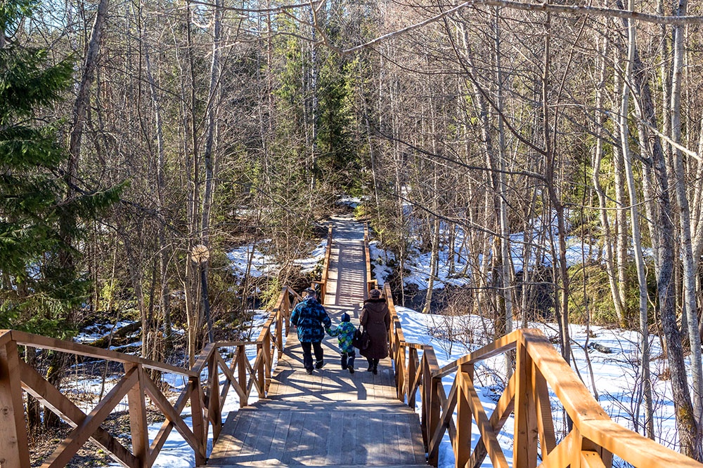 Туристы на пешеходной тропе государственного заповедника "Кивач" (Республика Карелия). Маршруты проходят через водопад Кивач, дендрарий, старовозрастные сосновые леса и музей природы.