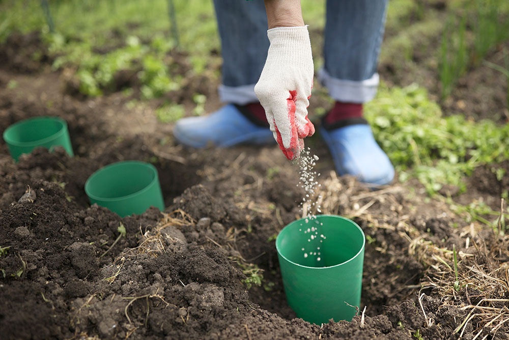 Женщина занимается посадкой рассады.