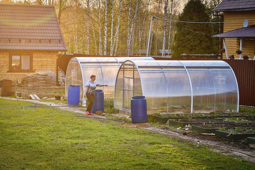 Пенсионерка на дачном участке, поливает цветы в теплице. Постройки на даче, льготы для пенсионеров.