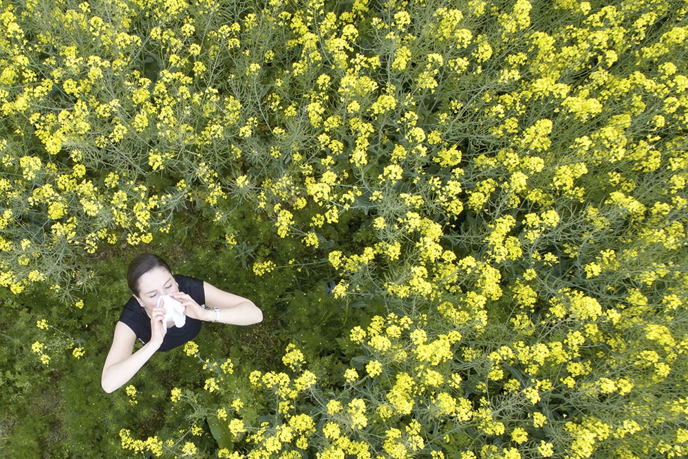 Цветение трав, женщина на поле с цветущими травами,  аллергия на пыльцу.