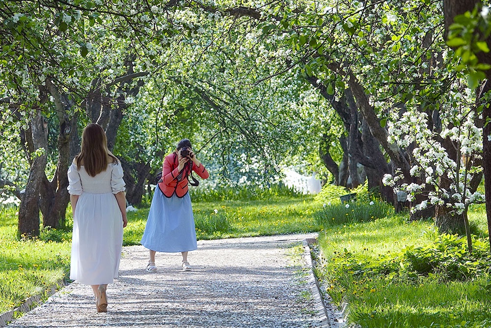 Весна, цветение деревьев. Высокая концентрация пыльцы обостряет симптомы поллиноза.