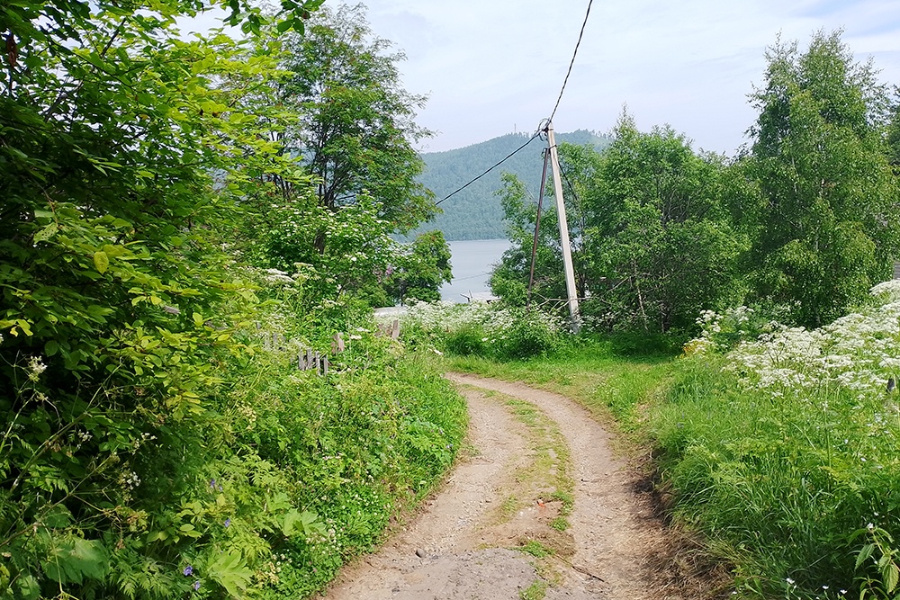 Тропа к Ангаре от дома Глеба Пакулова