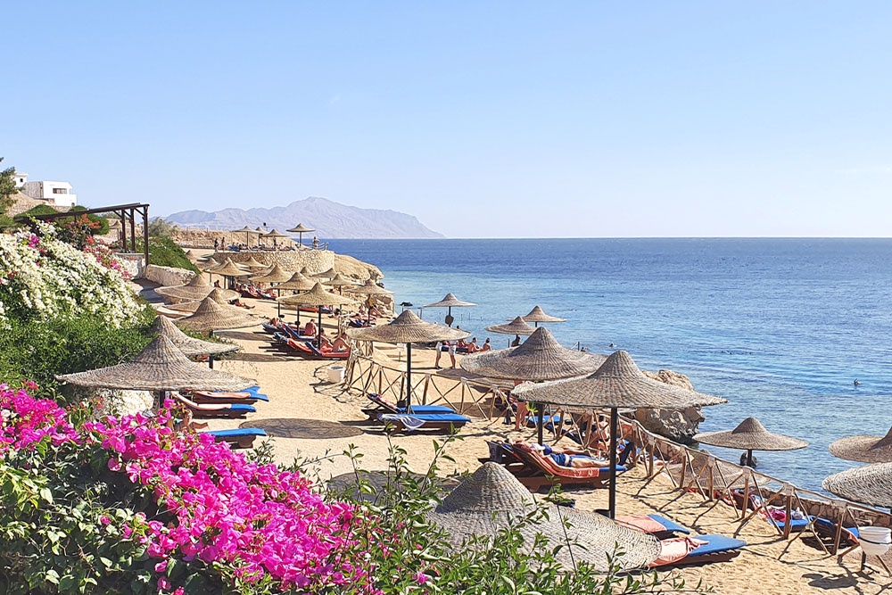Вид на пляж в Шарм-эль-Шейхе, Египет. Египет пляжный отдых.