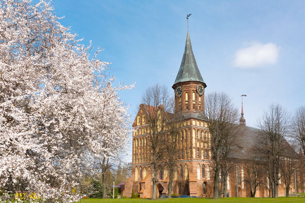 Кафедральный собор. Калининград.