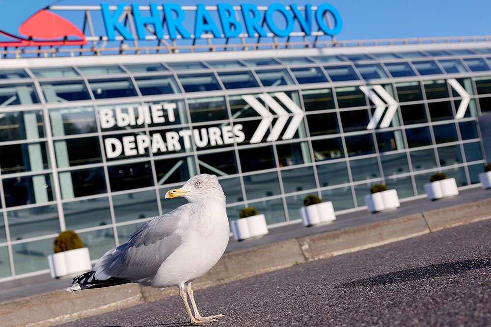 Аэропорт Храброво в Калининграде .Как добраться до Калининграда.