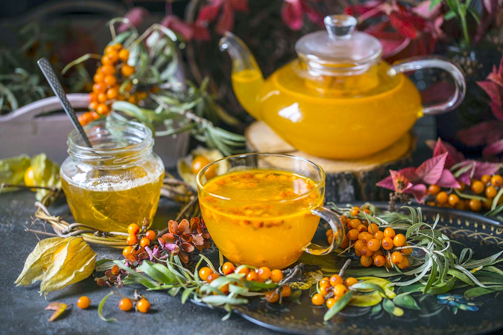 Травы и ягоды для фиточая. 