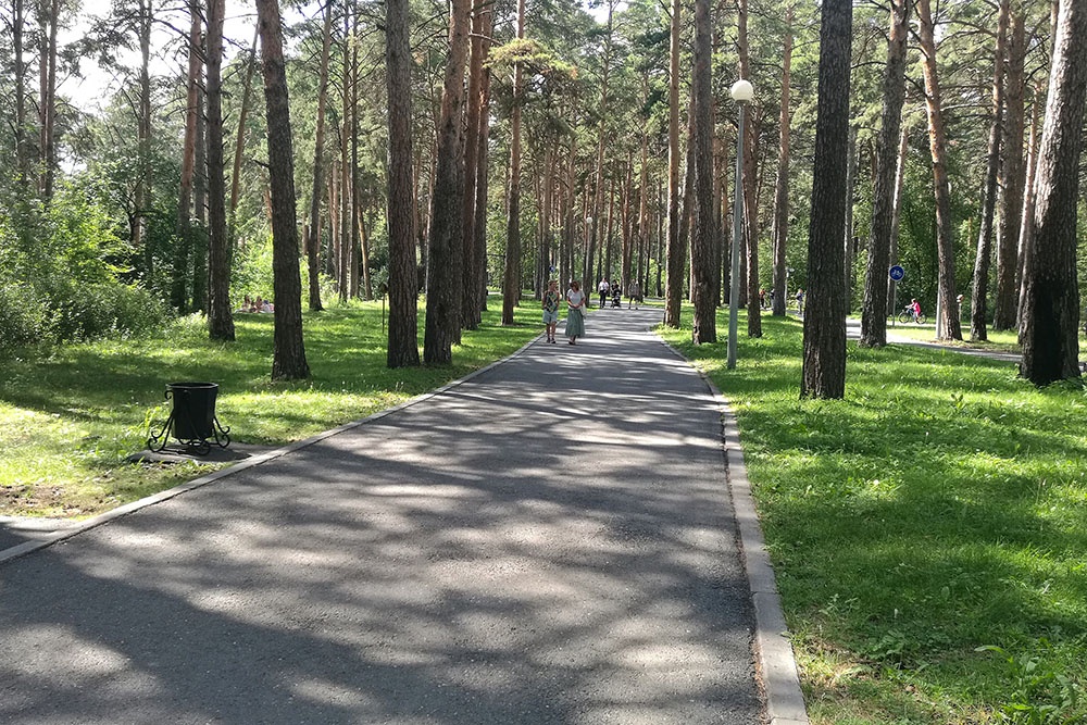 Гилевская роща.