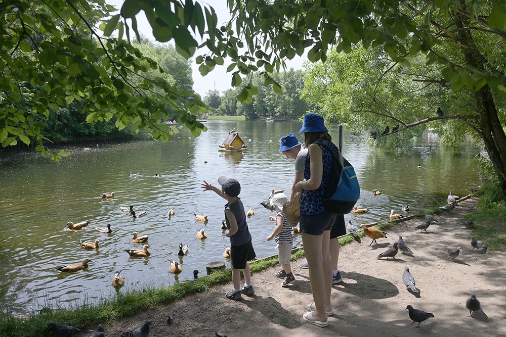 Семья с детьми в Воронцовском парка в Москве кормит уток на пруду. Выбрать идеальное место для семейного пикника в Москве с детьми.