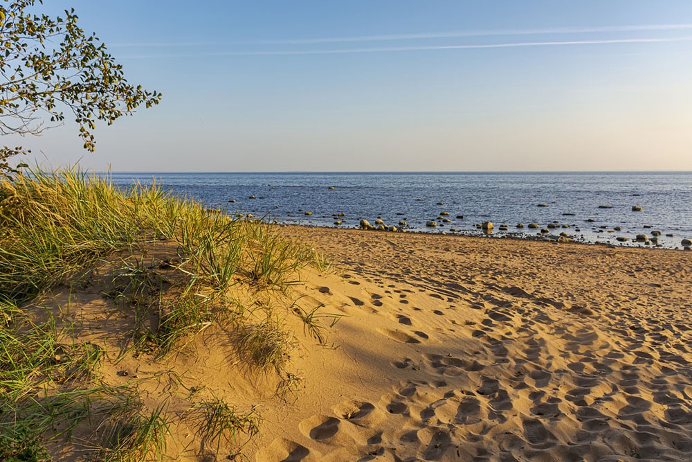 Закат на берегу Финского залива в Комарово. Сосны, песок и вода в одном из самых живописных мест побережья.