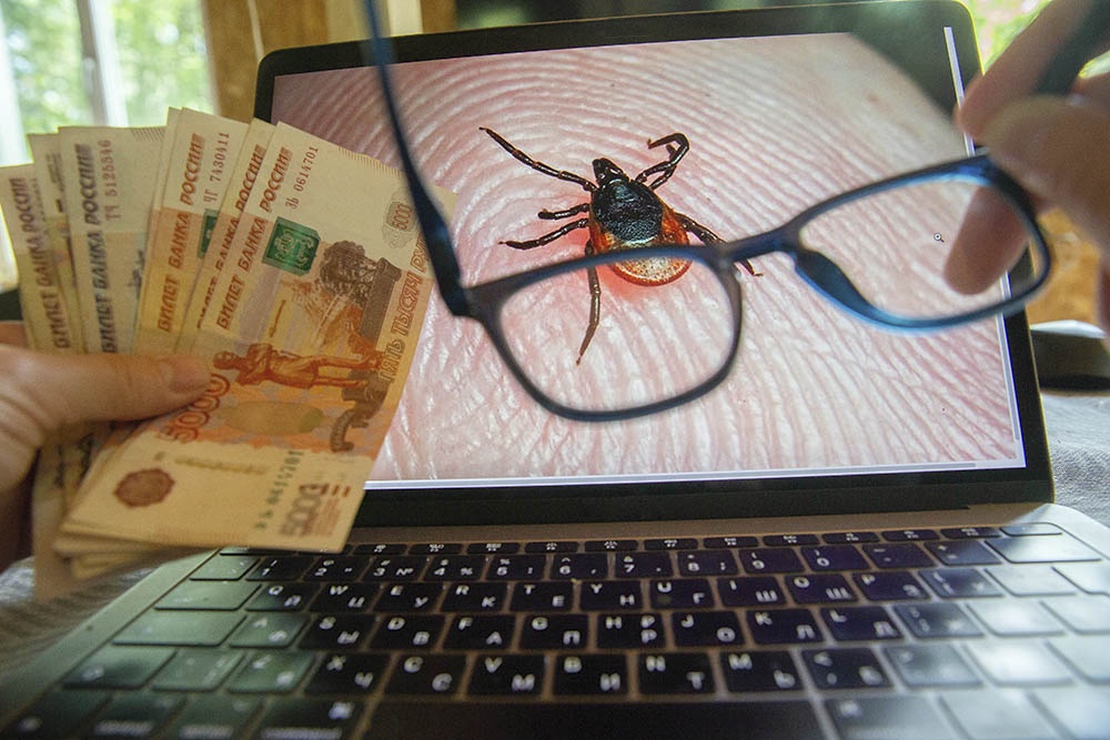 Дачник заказывает профессиональную обработку участка от клещей дистанционно. 