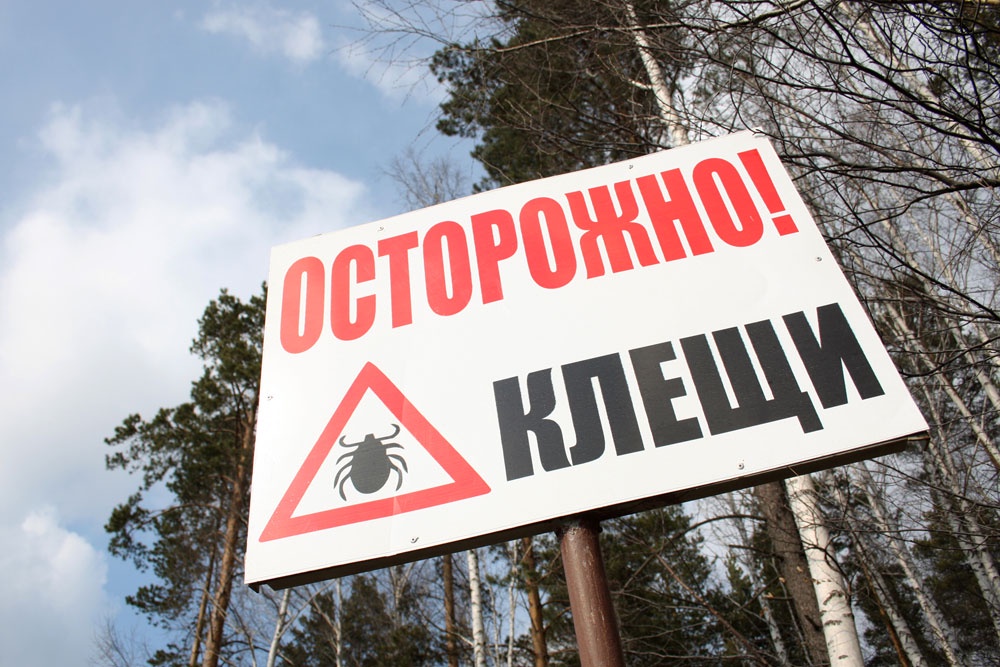Табличка с надписью "Осторожно - клещи"