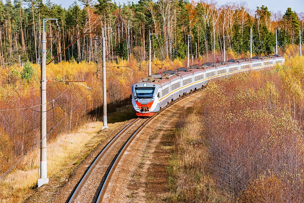Поезд подходит к станции в Ленинградской области.