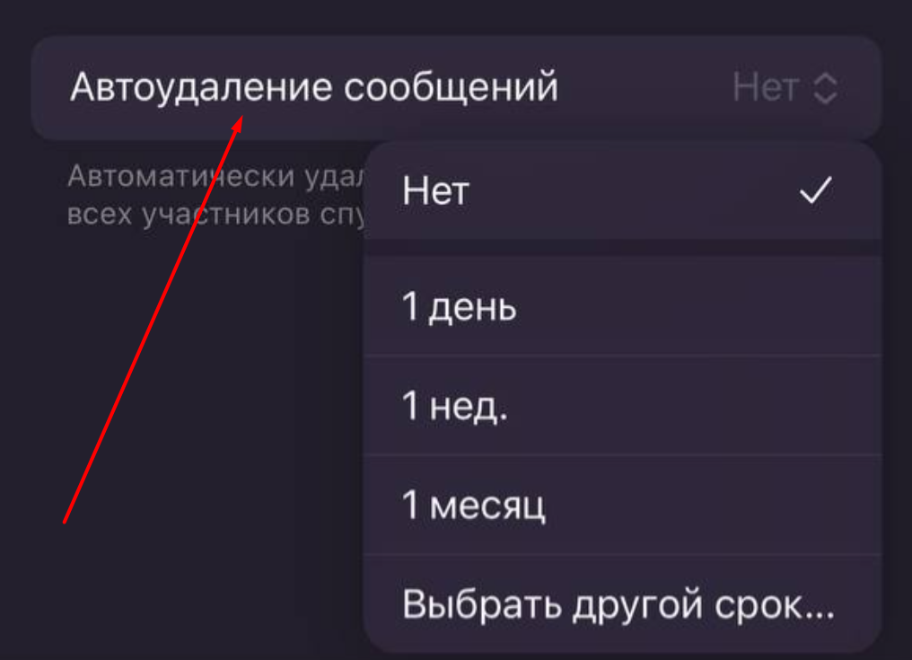 Автоудаление в ТГ с iPhone