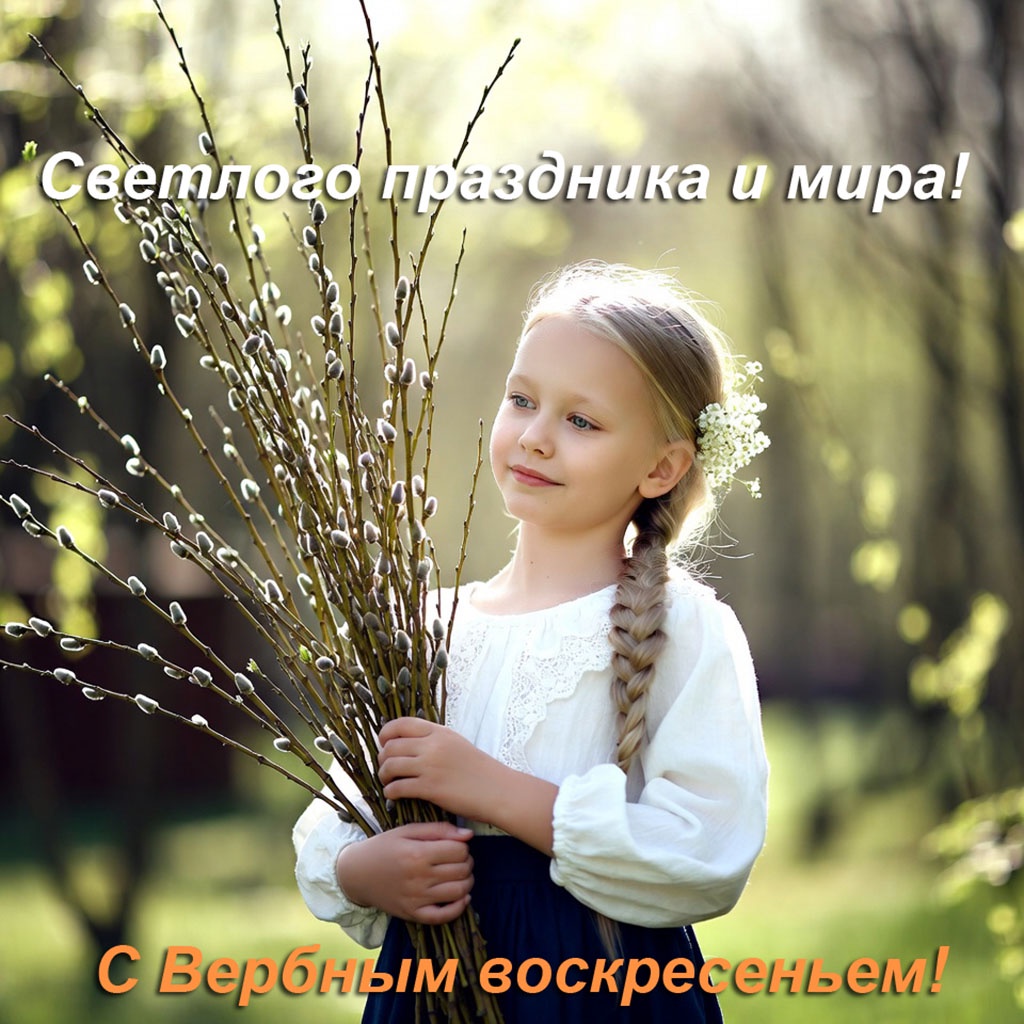 Открытки для коллег. Красивые открытки на Вербное воскресенье: картинки для поздравлений, печати и скачивания.