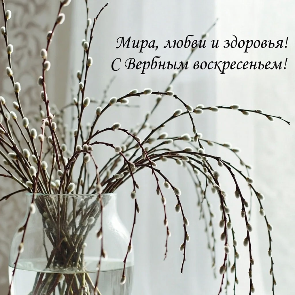 Современные открытки и минималистичные картинки. Красивые открытки на Вербное воскресенье: картинки для поздравлений, печати и скачивания