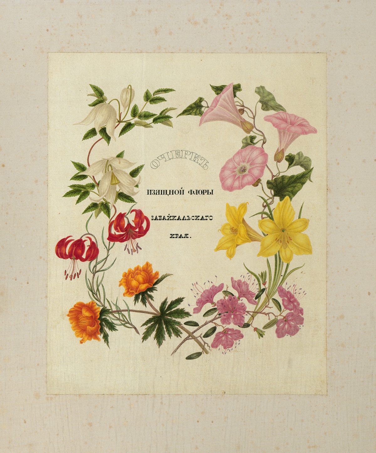 Петр Борисов, Очерк изящной флоры Забайкальского края