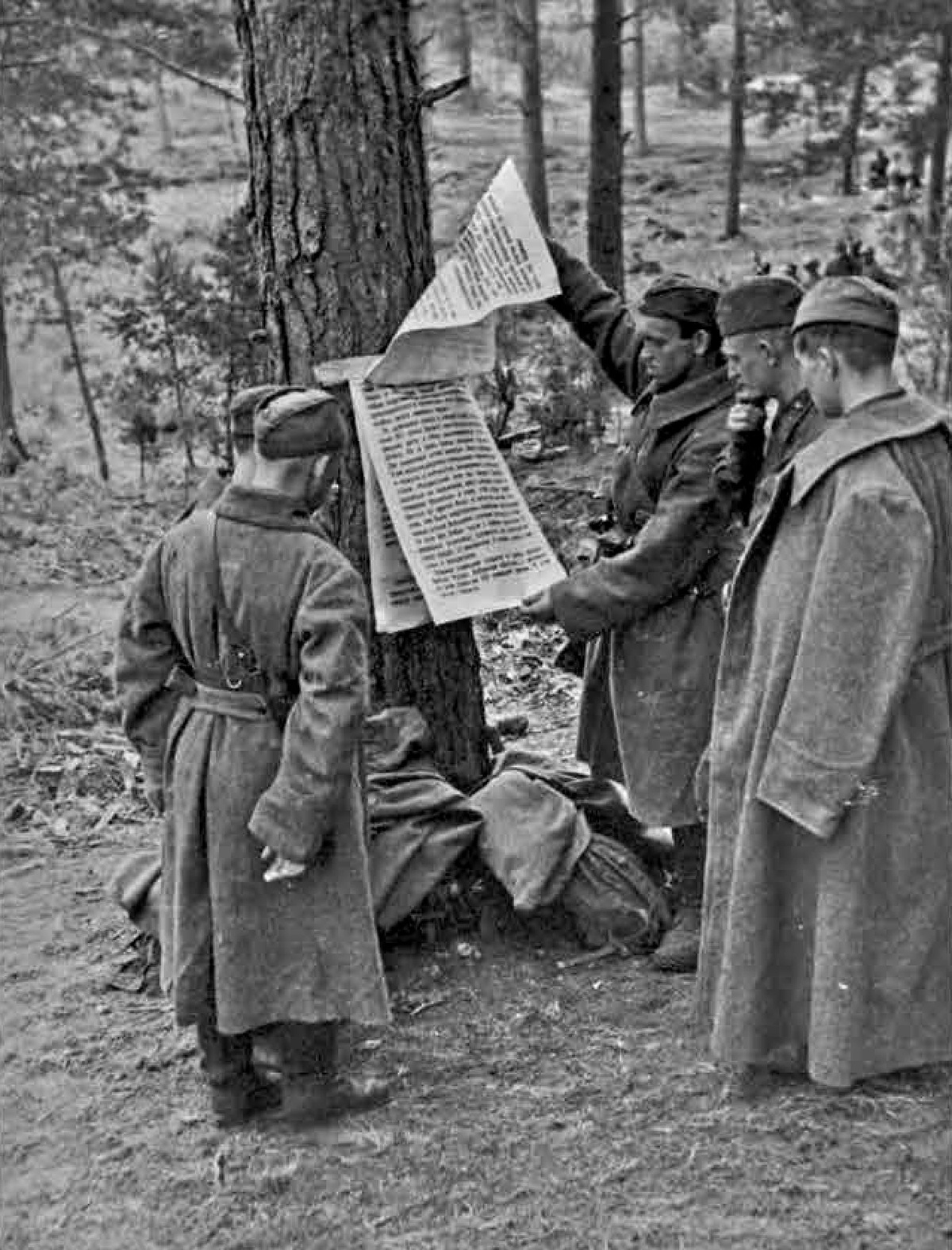 Бойцы читают сводку Советского информбюро. 11 августа 1941