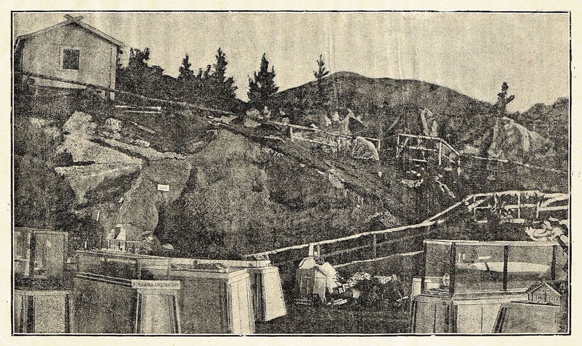Тюремная выставка-1890. Нерчинский рудник