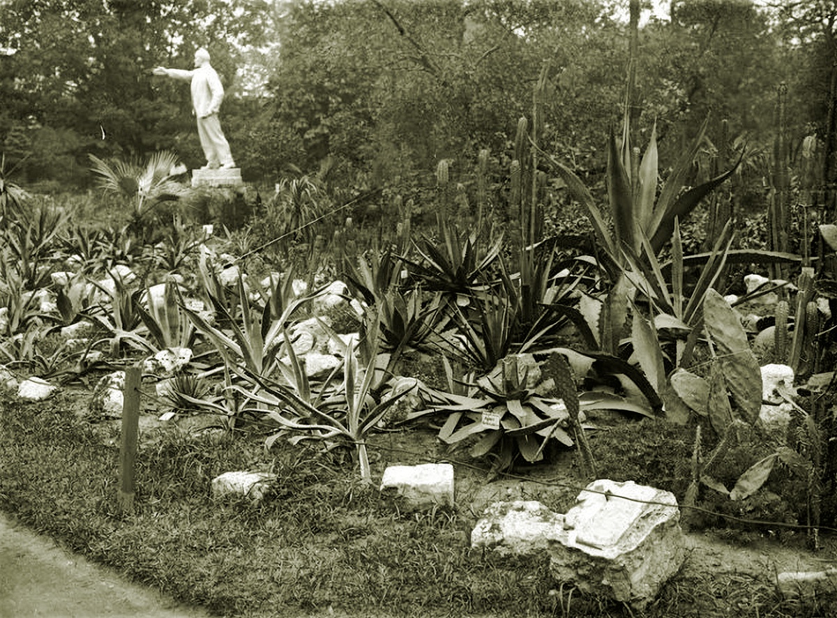 Аптекарский огород в  1930-е