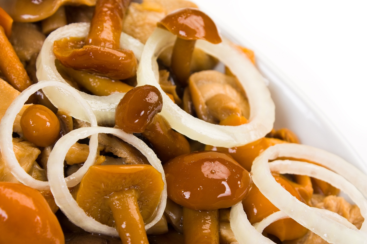 грибы в банке