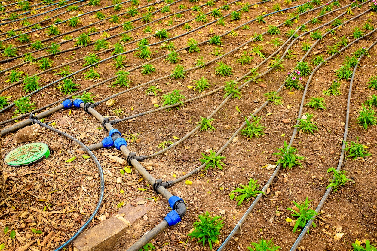 капельный полив