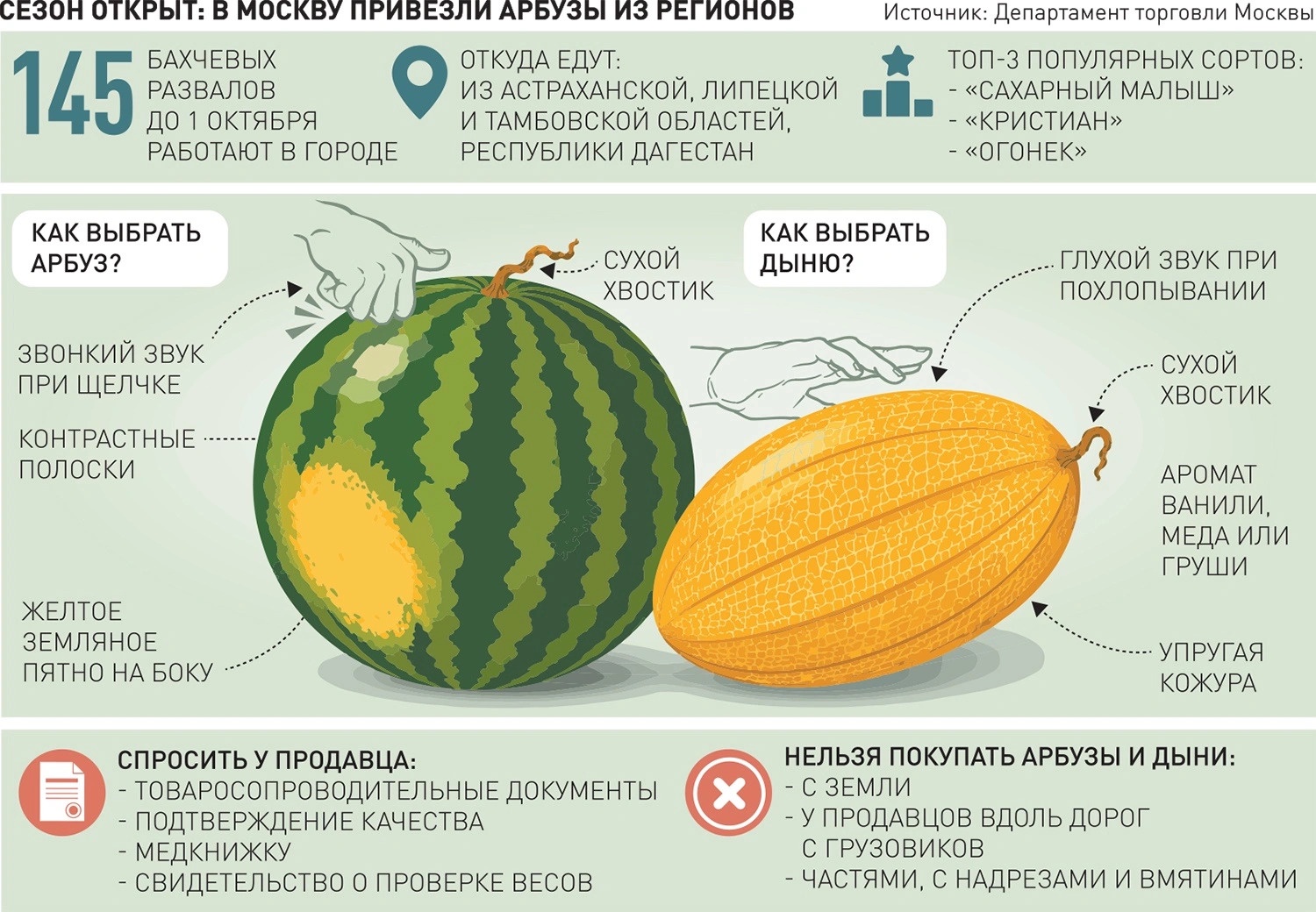 Инфографика "Как выбрать арбуз и дыню?"
