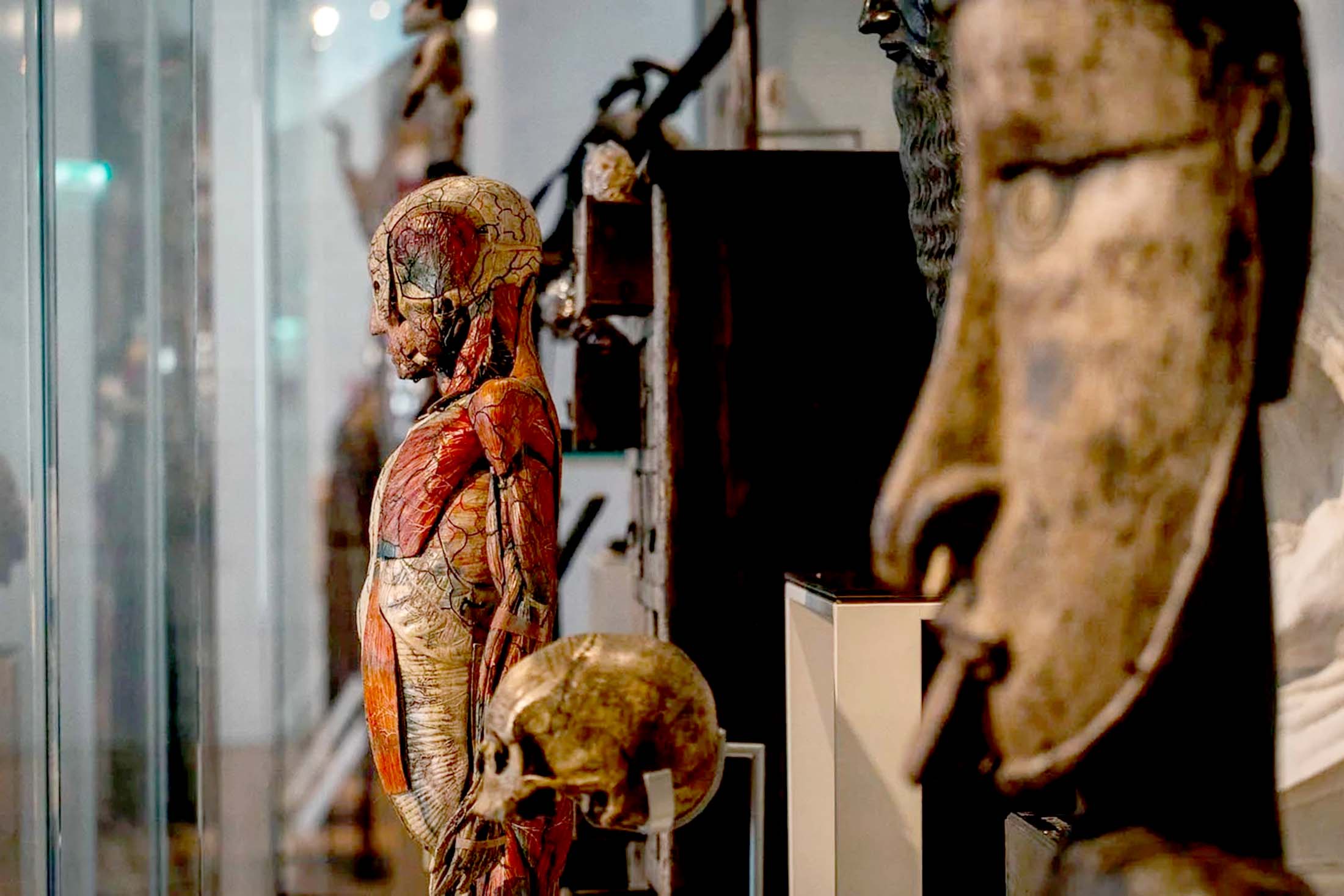 Musée de l'Homme (Музей человека, Париж, Франция).