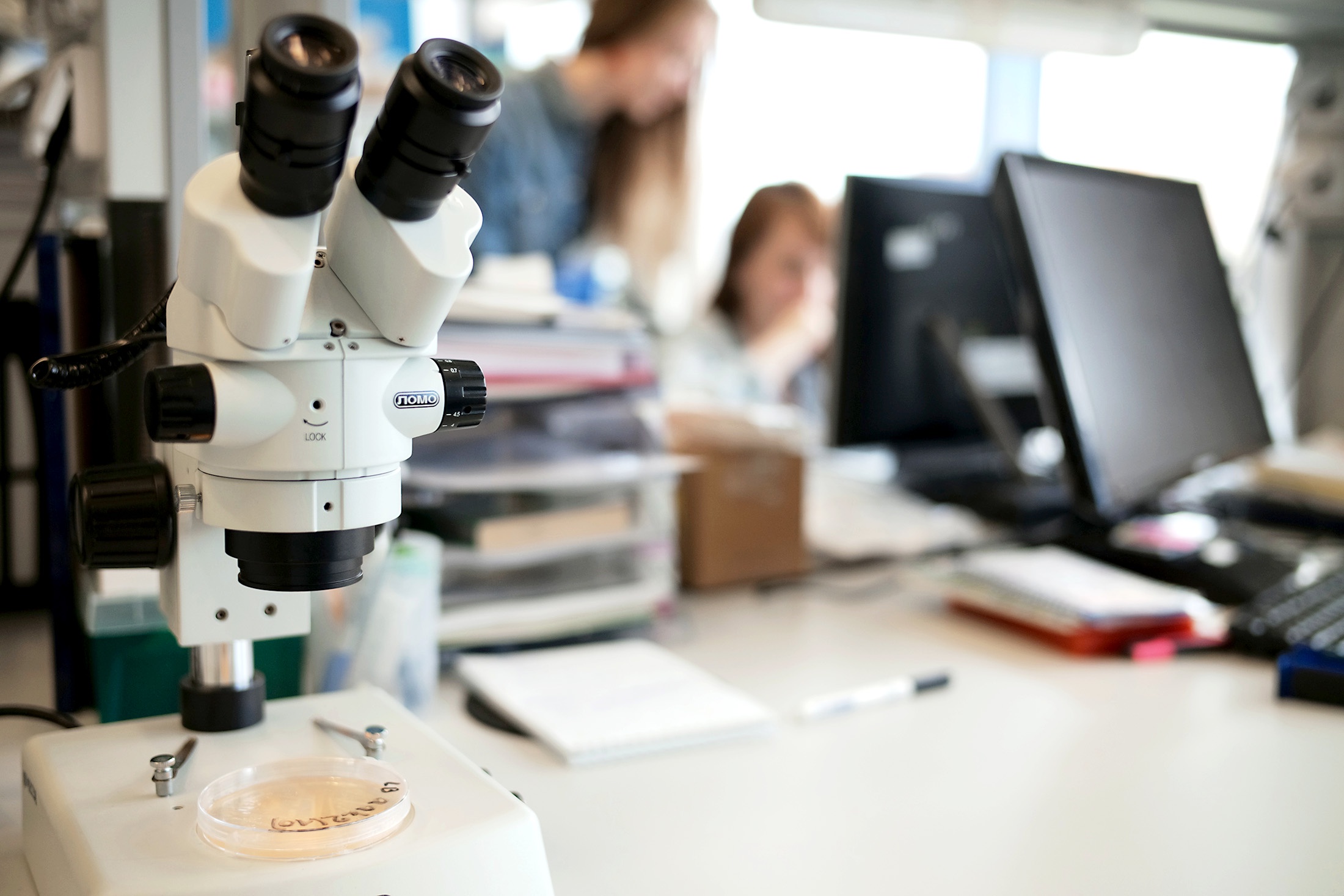 изучения в микроскоп