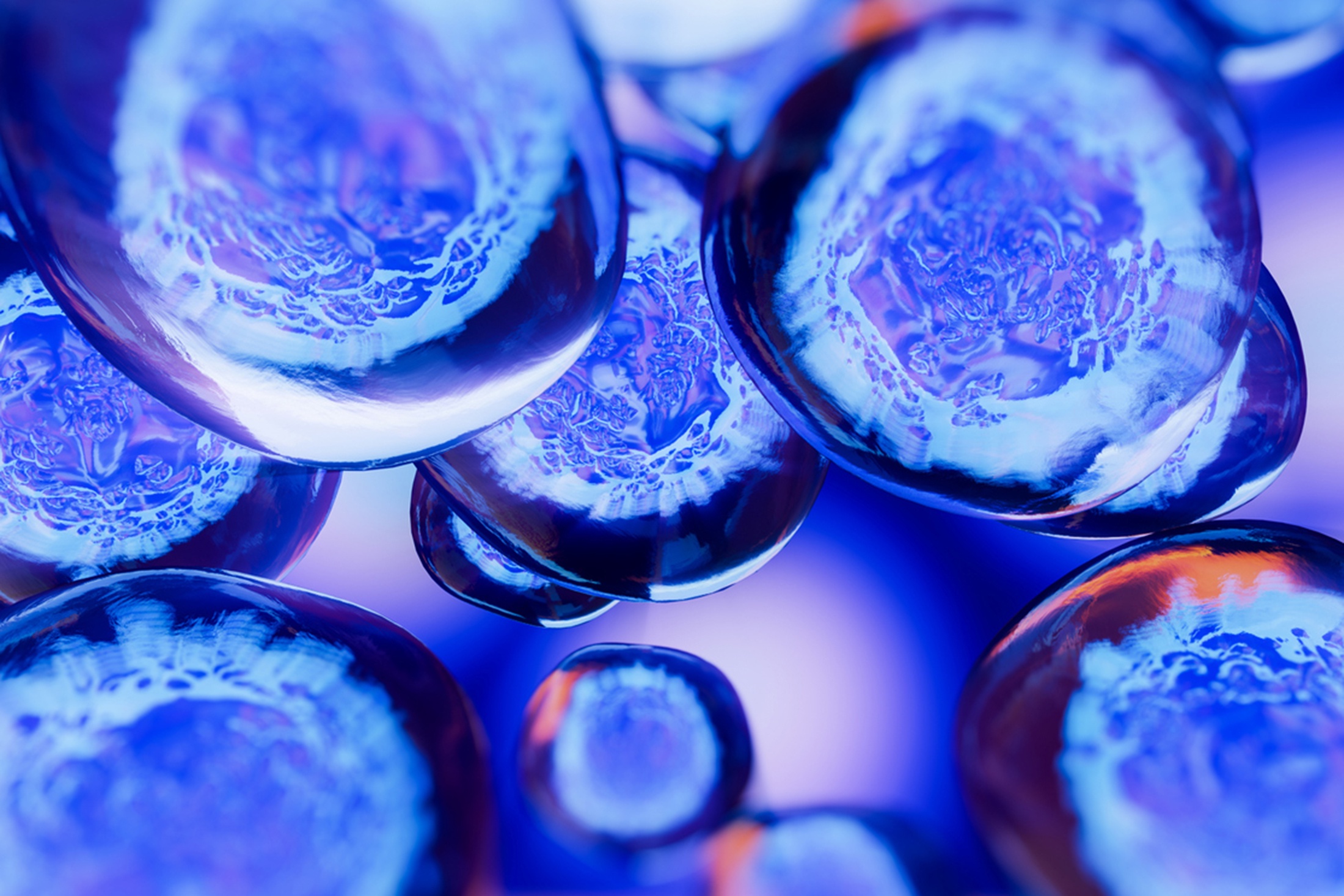 стволовые клетки