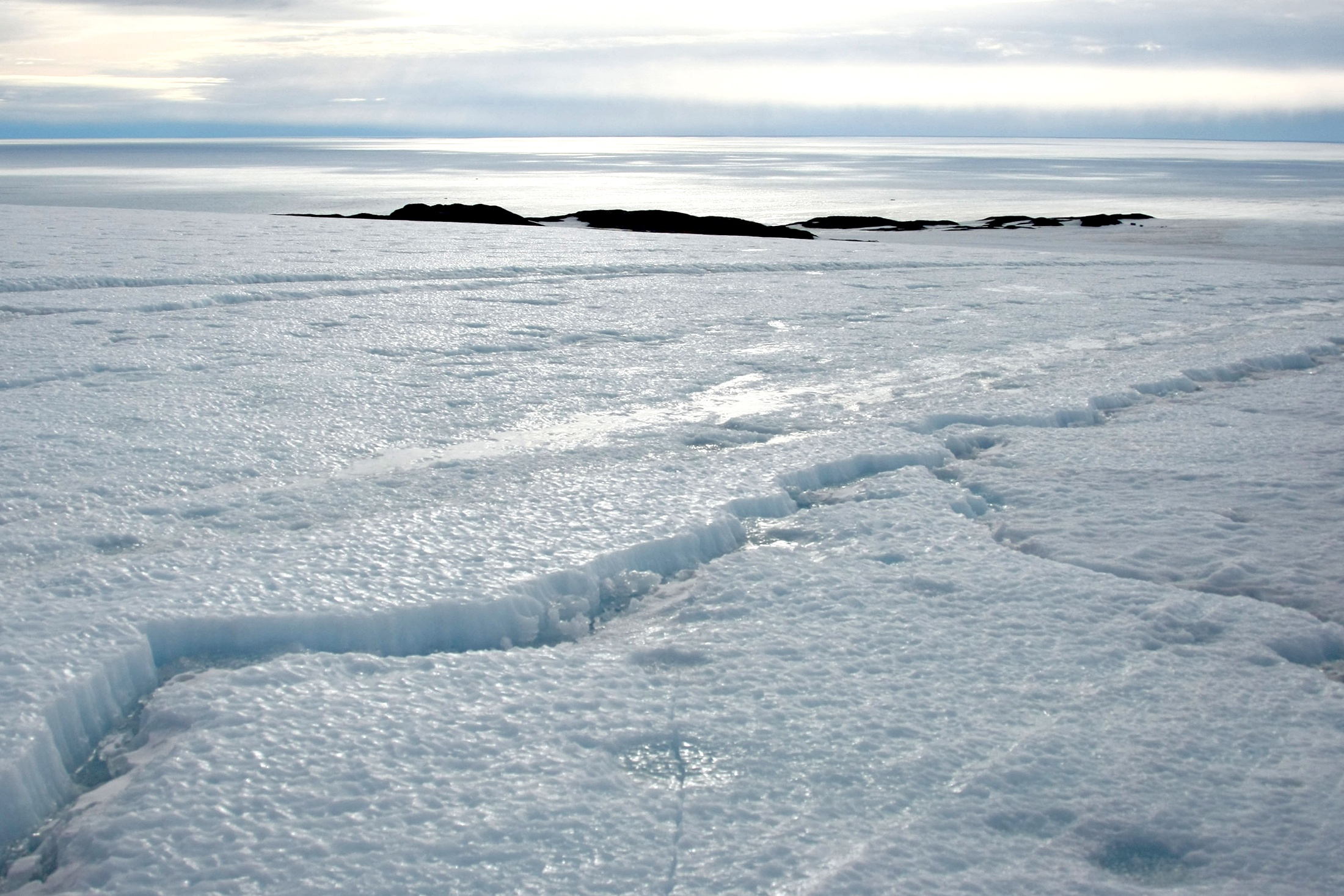 Антарктида льды