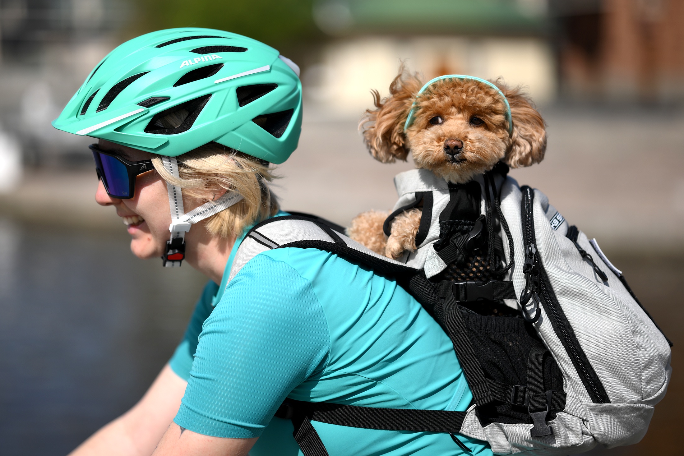 девушка собакой