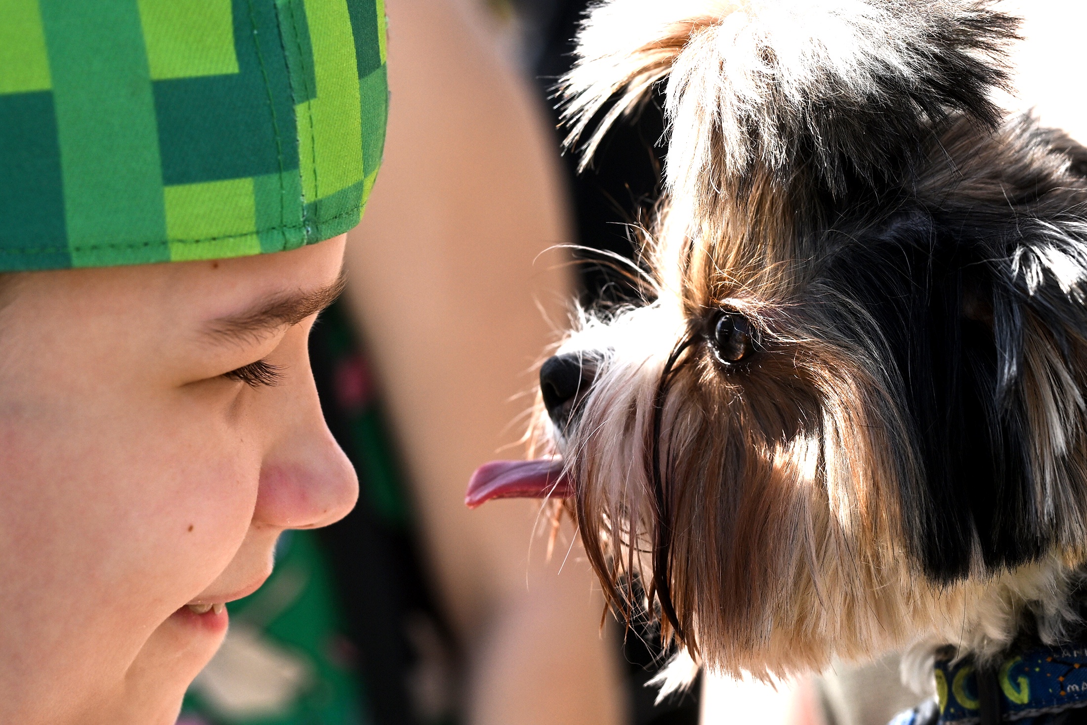 ребенок с собакой