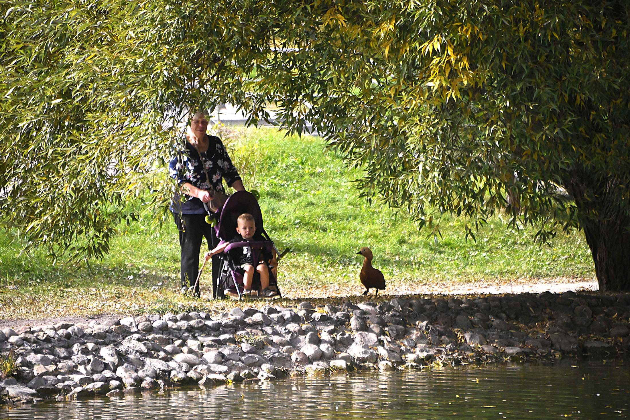 на прогулке летом ребенок и бабушка