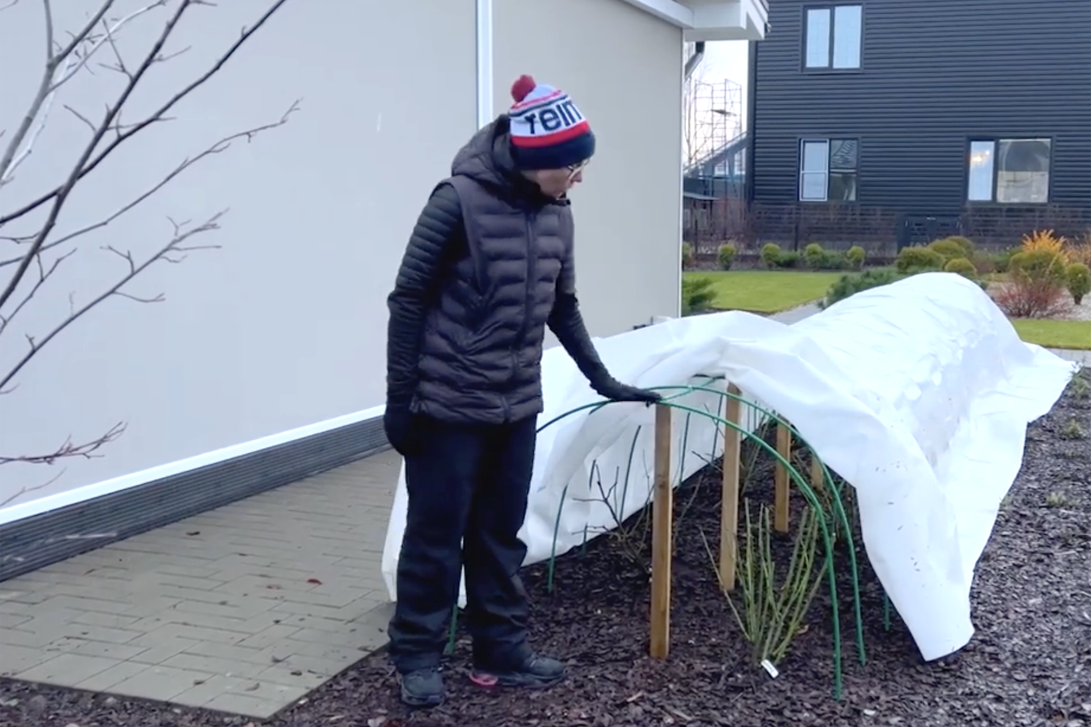 укрывание роз