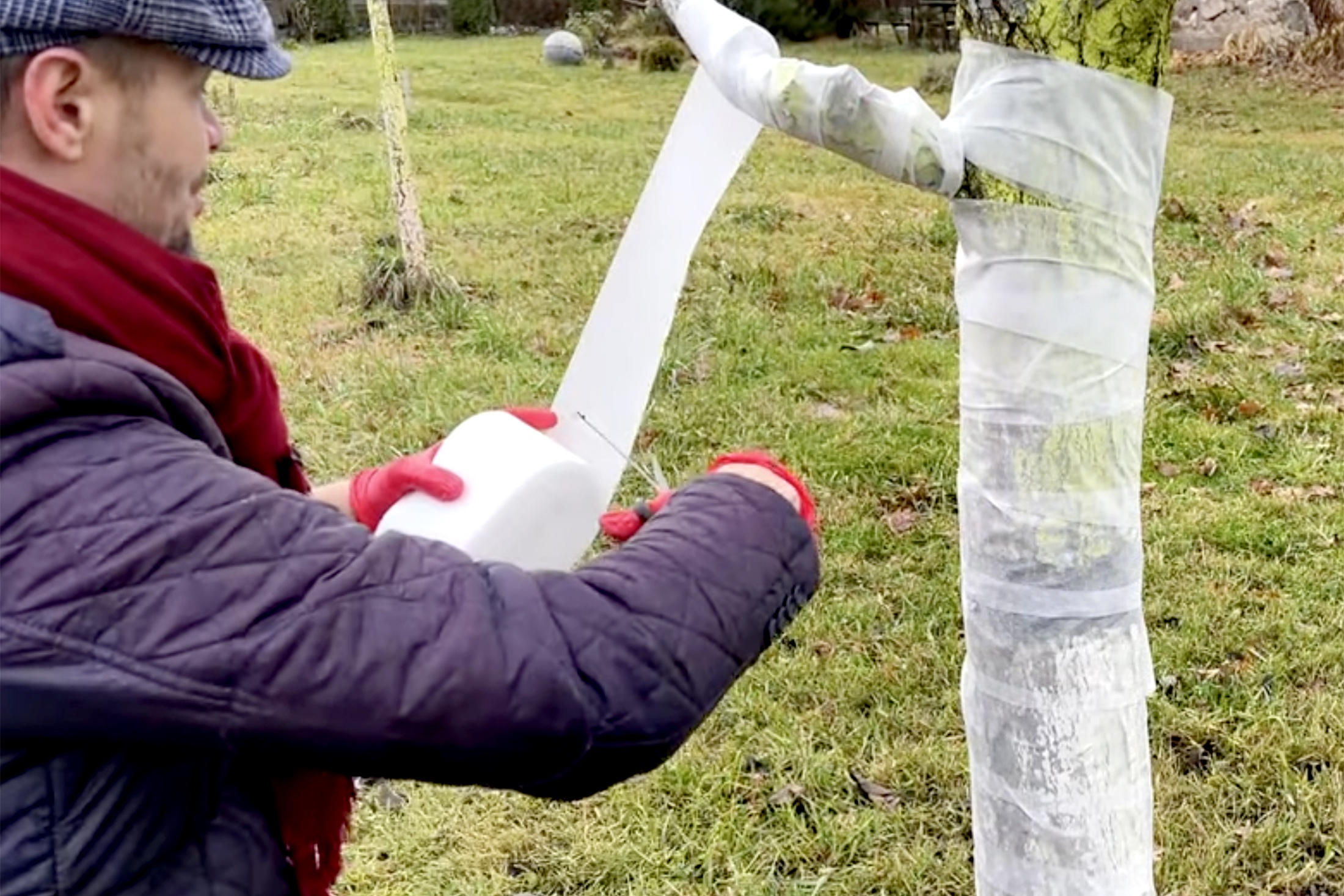 САДОВЫЙ БИНТ для деревьев от морозобоин трещин и повреждений в зимне-осенний перио