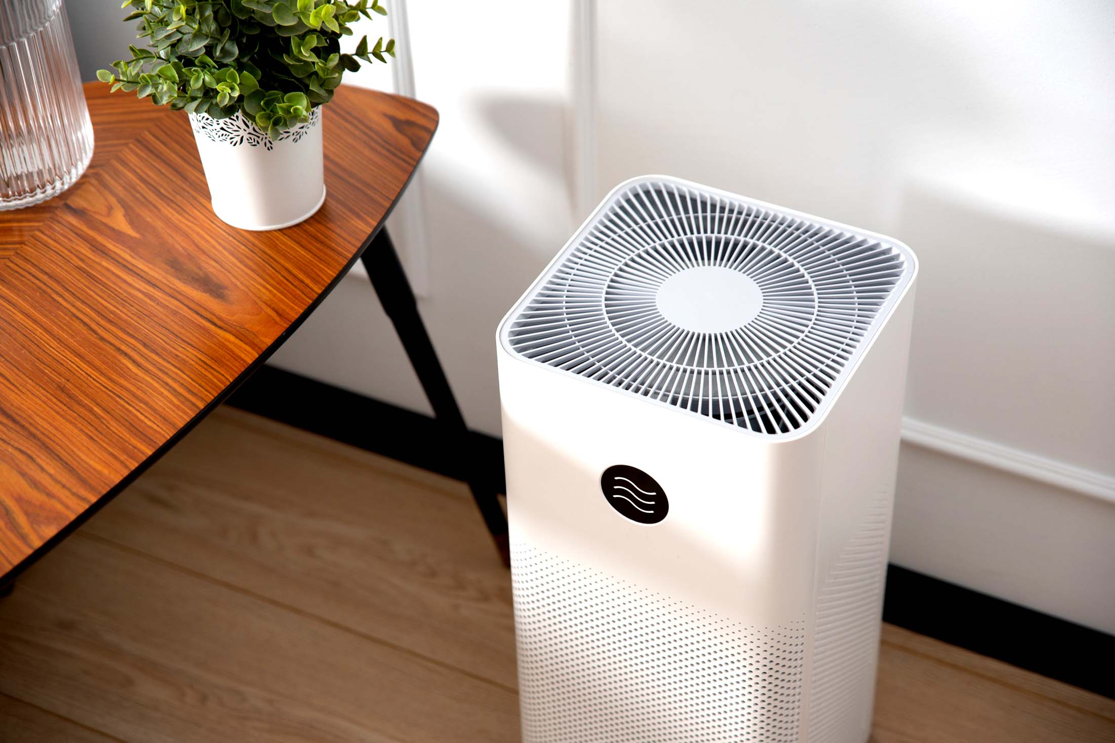 Очиститель воздуха для квартиры и дома