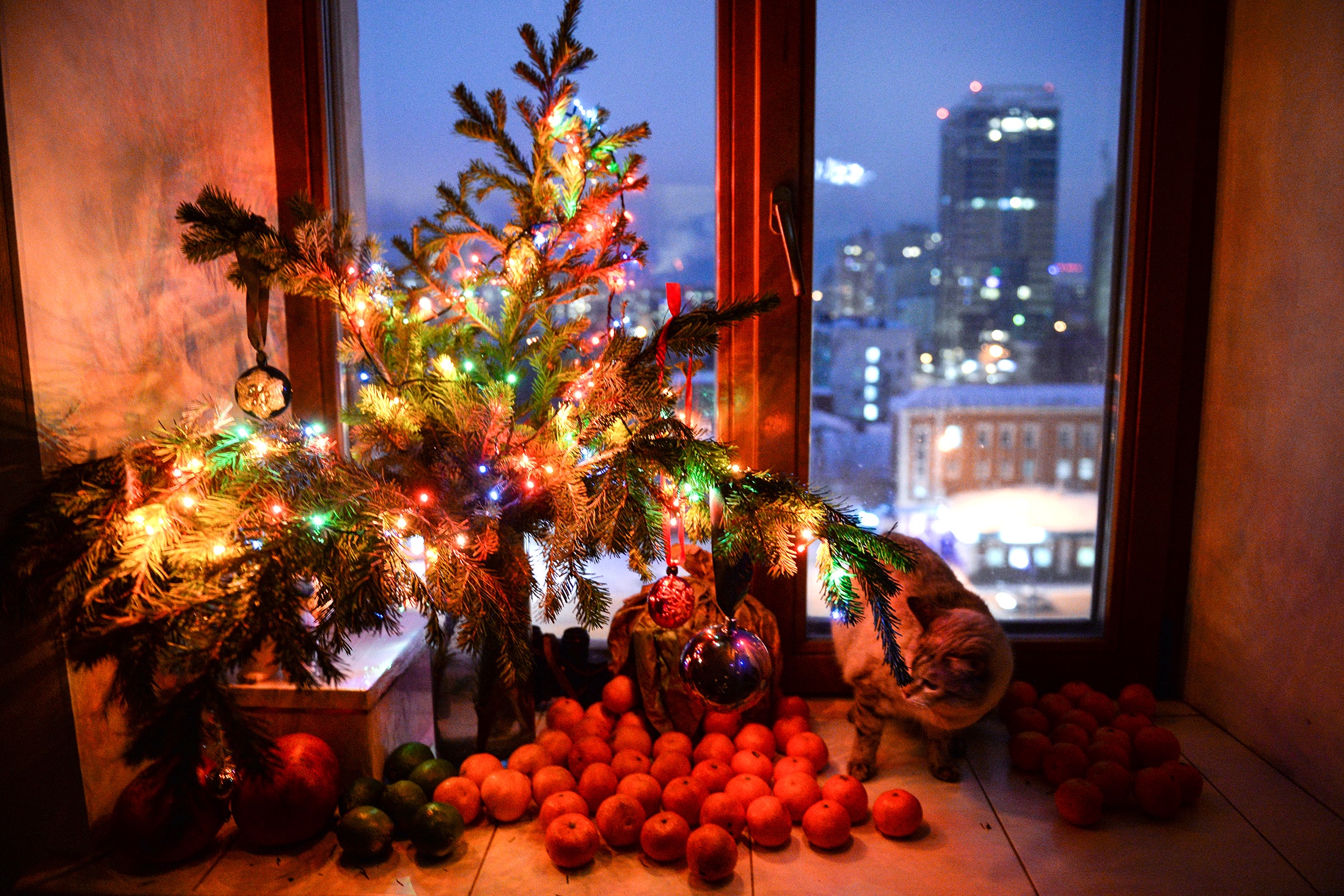 Встреча Нового года