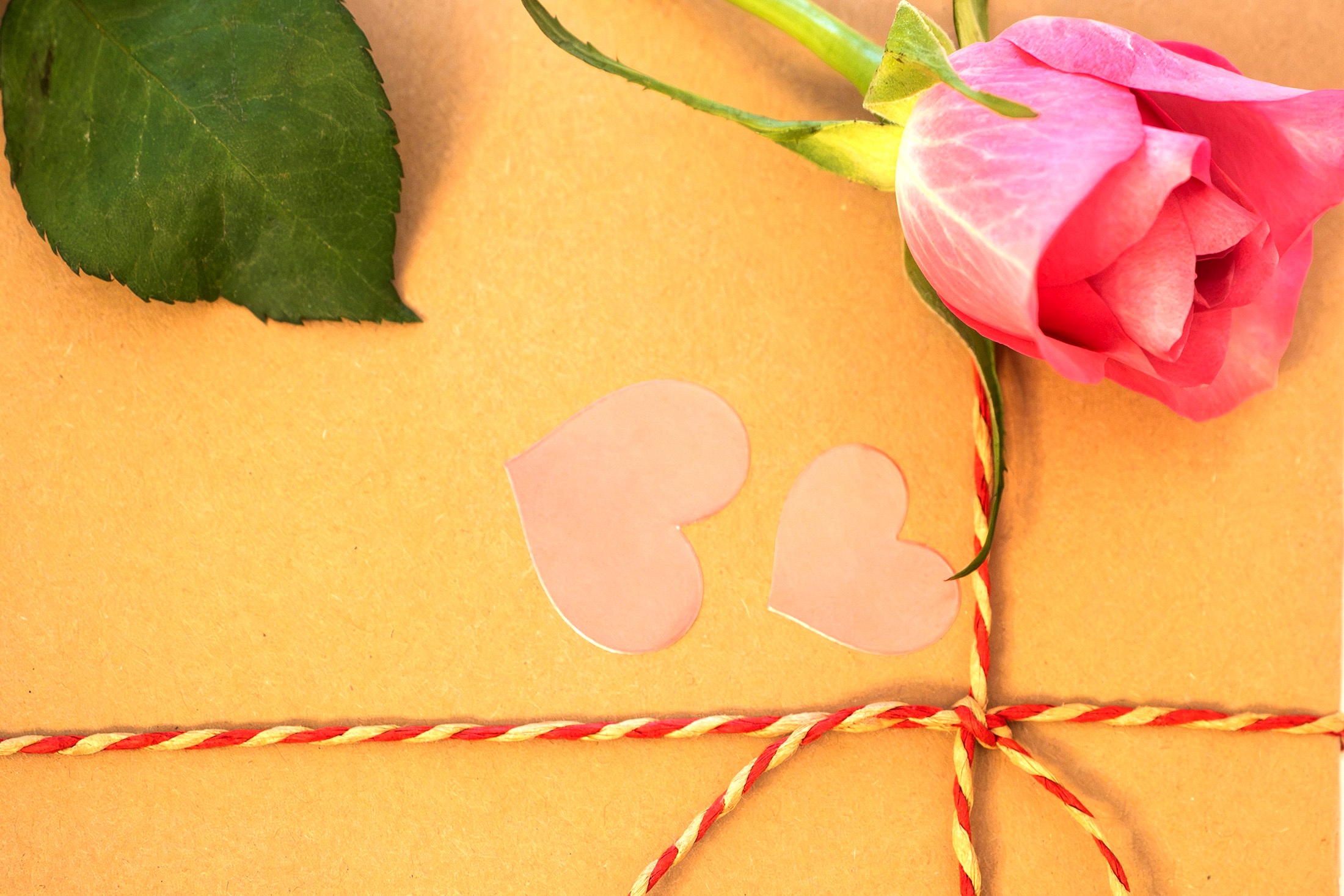 поделка и цветок